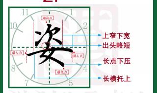 荷花课文三年级下册