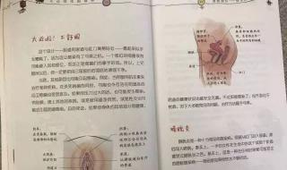 初三可以洗衣吗 我初三了大吗有图