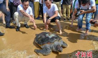 马六甲海峡到我国多少海里 37海里等于多少公里